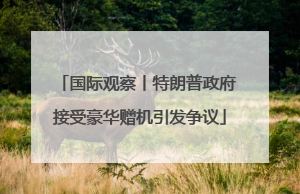 国际观察丨特朗普政府接受豪华赠机引发争议