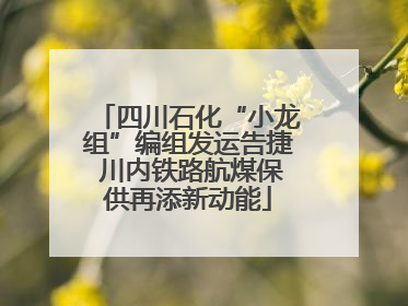 四川石化“小龙组”编组发运告捷 川内铁路航煤保供再添新动能