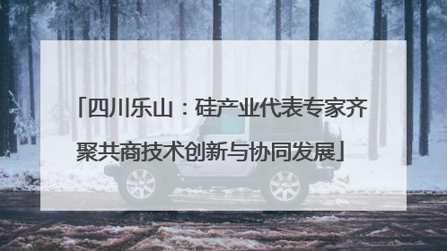 四川乐山：硅产业代表专家齐聚共商技术创新与协同发展
