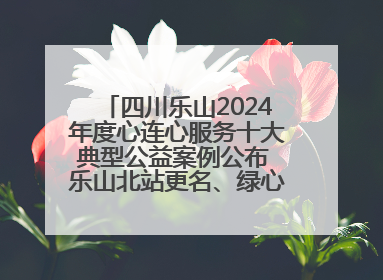 四川乐山2024年度心连心服务十大典型公益案例公布 乐山北站更名、绿心路井盖治理等上榜