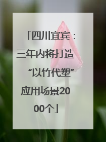四川宜宾：三年内将打造“以竹代塑”应用场景2000个