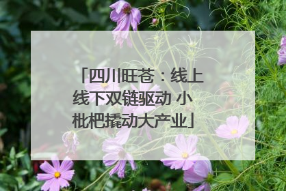 四川旺苍：线上线下双链驱动 小枇杷撬动大产业