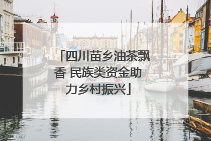 四川苗乡油茶飘香 民族类资金助力乡村振兴