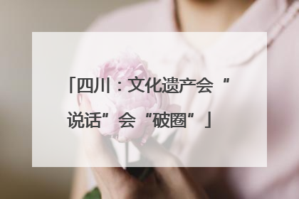 四川：文化遗产会“说话”会“破圈”