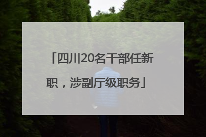 四川20名干部任新职，涉副厅级职务
