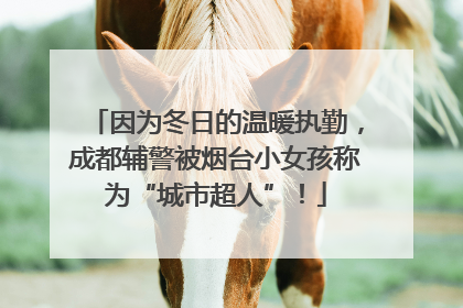因为冬日的温暖执勤，成都辅警被烟台小女孩称为“城市超人”！