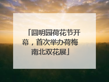 圆明园荷花节开幕，首次举办荷梅南北双花展