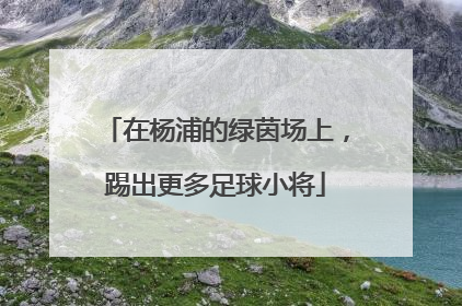 在杨浦的绿茵场上，踢出更多足球小将