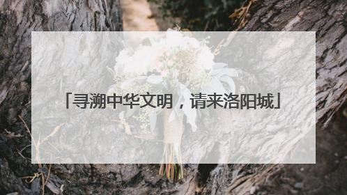 寻溯中华文明，请来洛阳城