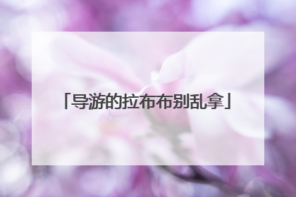 导游的拉布布别乱拿