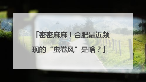 密密麻麻！合肥最近频现的“虫卷风”是啥？