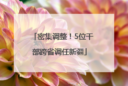 密集调整！5位干部跨省调任新疆