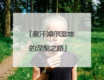 察汗淖尔湿地的涅槃之路