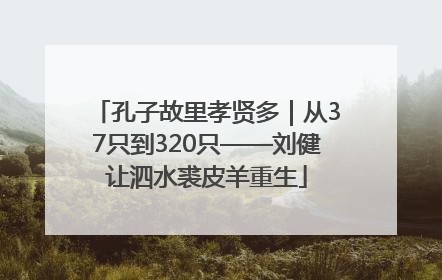 孔子故里孝贤多｜从37只到320只——刘健让泗水裘皮羊重生