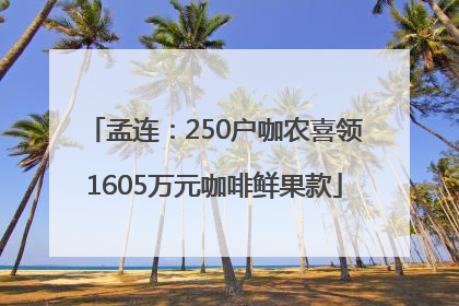 孟连：250户咖农喜领1605万元咖啡鲜果款