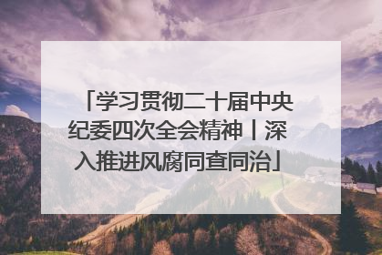 学习贯彻二十届中央纪委四次全会精神丨深入推进风腐同查同治