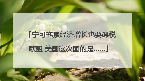 宁可拖累经济增长也要课税欧盟 美国这次图的是……
