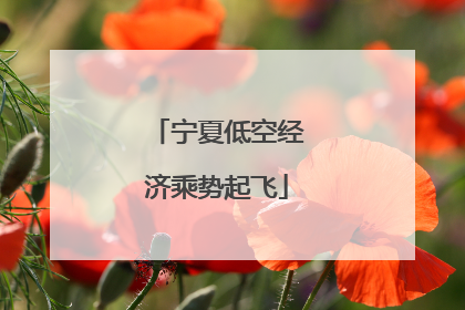 宁夏低空经济乘势起飞
