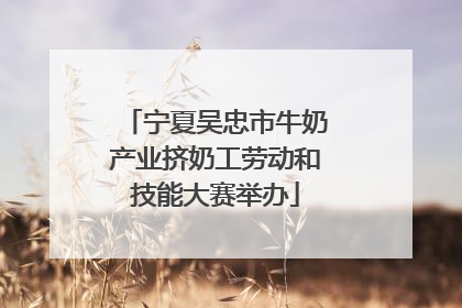 宁夏吴忠市牛奶产业挤奶工劳动和技能大赛举办