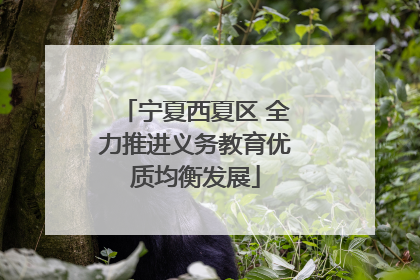宁夏西夏区 全力推进义务教育优质均衡发展