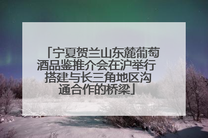 宁夏贺兰山东麓葡萄酒品鉴推介会在沪举行 搭建与长三角地区沟通合作的桥梁