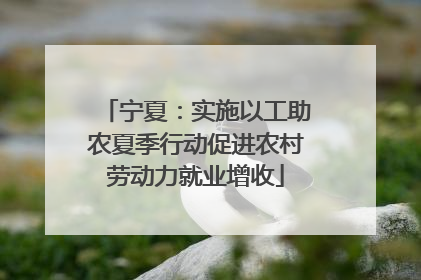 宁夏：实施以工助农夏季行动促进农村劳动力就业增收