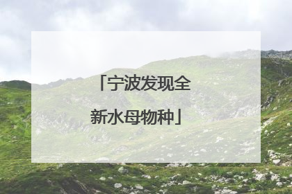 宁波发现全新水母物种
