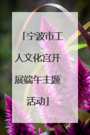 宁波市工人文化宫开展端午主题活动