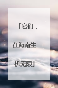 它们，在海南生机无限