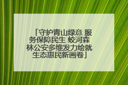 守护青山绿意 服务保障民生 蛟河森林公安多维发力绘就生态惠民新画卷