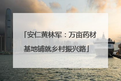 安仁黄林军：万亩药材基地铺就乡村振兴路
