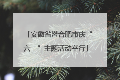 安徽省暨合肥市庆“六一”主题活动举行