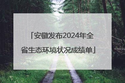 安徽发布2024年全省生态环境状况成绩单