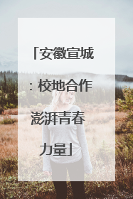 安徽宣城：校地合作 澎湃青春力量