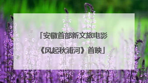 安徽首部新文旅电影《风起秋浦河》首映