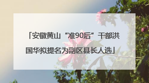 安徽黄山“准90后”干部洪国华拟提名为副区县长人选