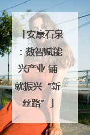 安康石泉：数智赋能兴产业 铺就振兴“新丝路”