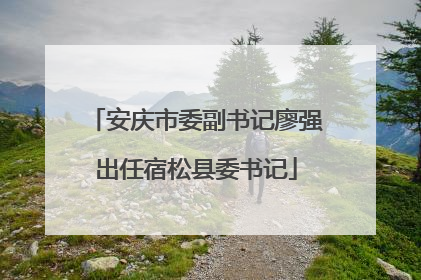 安庆市委副书记廖强出任宿松县委书记