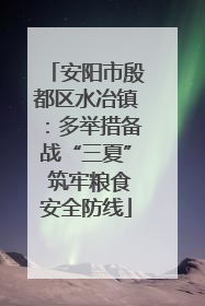 安阳市殷都区水冶镇：多举措备战“三夏” 筑牢粮食安全防线