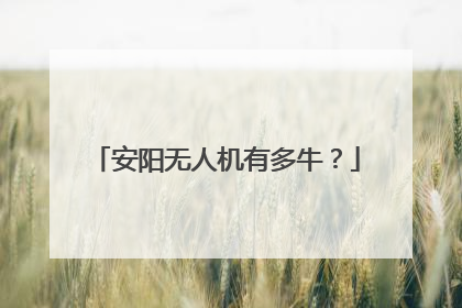 安阳无人机有多牛？