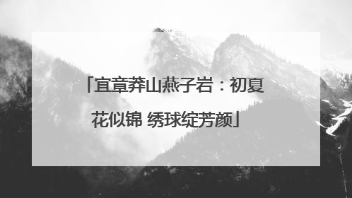 宜章莽山燕子岩：初夏花似锦 绣球绽芳颜