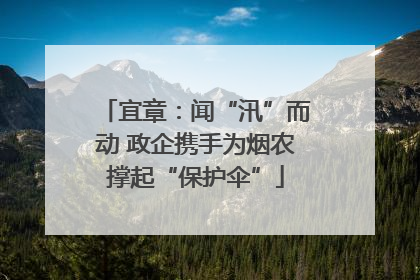 宜章：闻“汛”而动 政企携手为烟农撑起“保护伞”