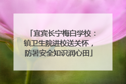 宜宾长宁梅白学校：镇卫生院进校送关怀，防暑安全知识润心田
