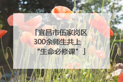 宜昌市伍家岗区300余师生共上“生命必修课”