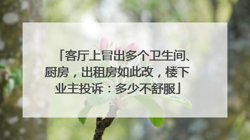 客厅上冒出多个卫生间、厨房，出租房如此改，楼下业主投诉：多少不舒服