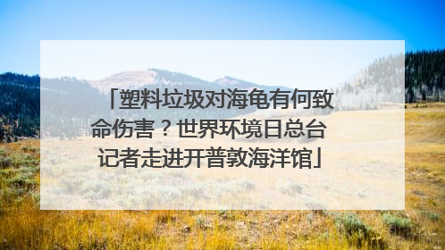 塑料垃圾对海龟有何致命伤害？世界环境日总台记者走进开普敦海洋馆
