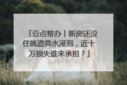壹点帮办丨新房还没住就遭粪水浸泡，近十万损失谁来承担？
