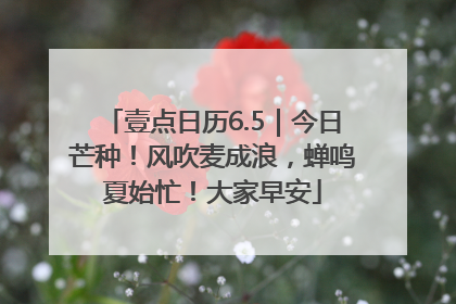 壹点日历6.5｜今日芒种！风吹麦成浪，蝉鸣夏始忙！大家早安