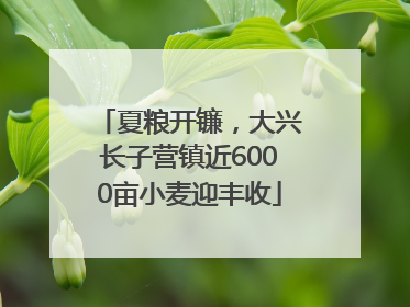 夏粮开镰，大兴长子营镇近6000亩小麦迎丰收
