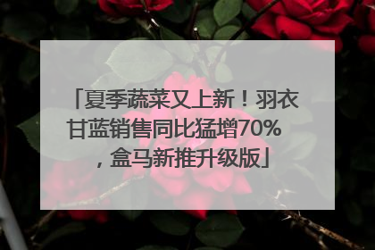 夏季蔬菜又上新！羽衣甘蓝销售同比猛增70%，盒马新推升级版